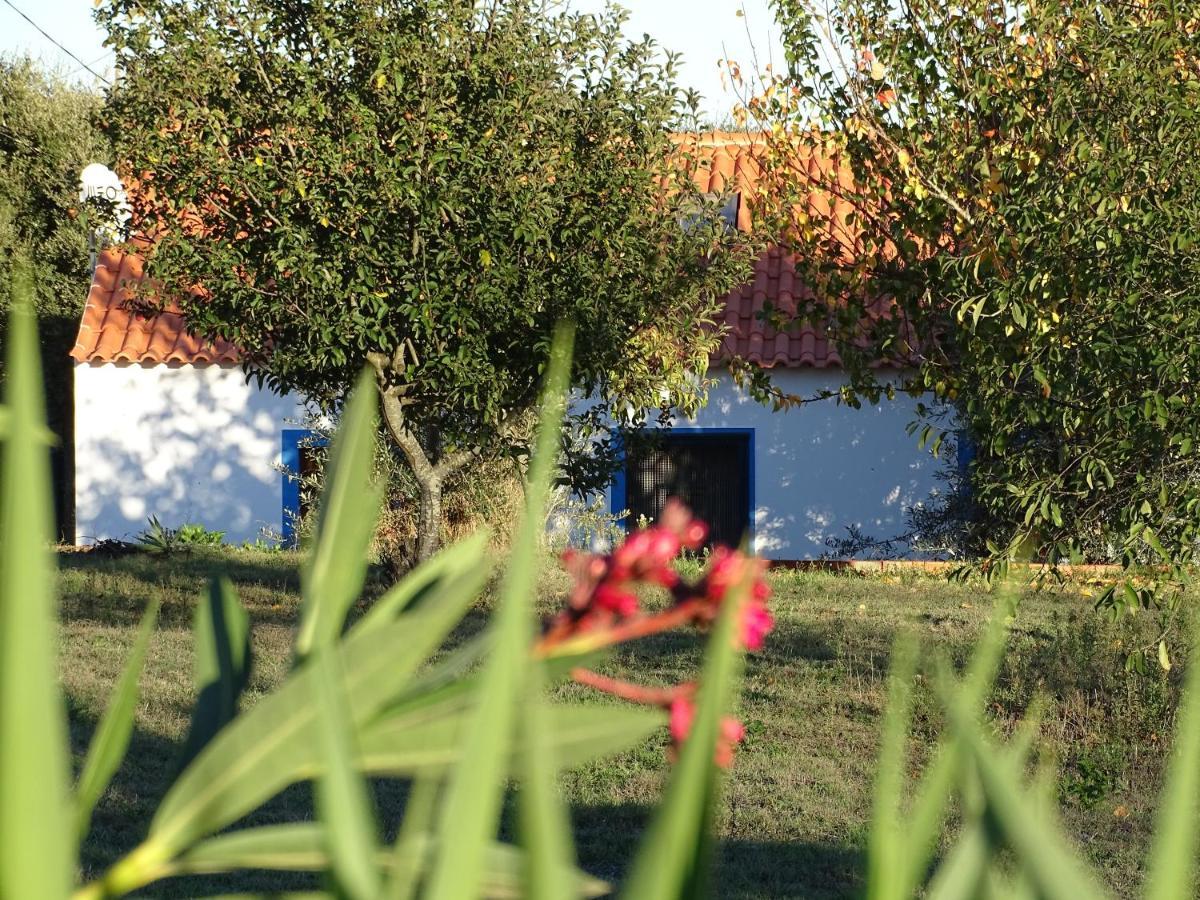 Quinta Teimosas By In Alentejo Cercal do Alentejo